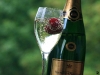 Sweet cherry in champagne